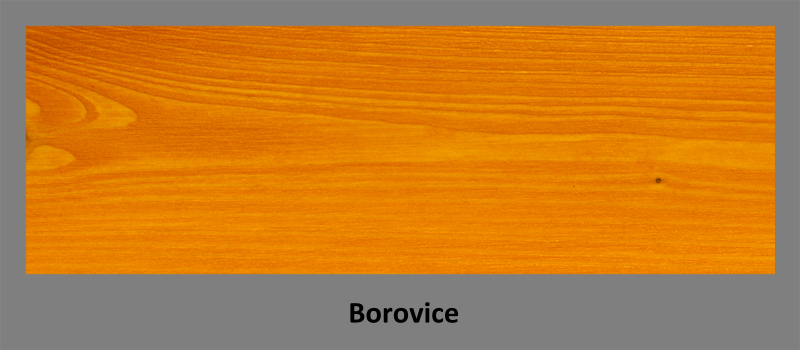 PLUS W-vosk 4,5lt borovice
